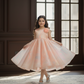Pretty Princess Frock — Elegant Net Layering